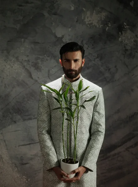 Light Grey Sherwani